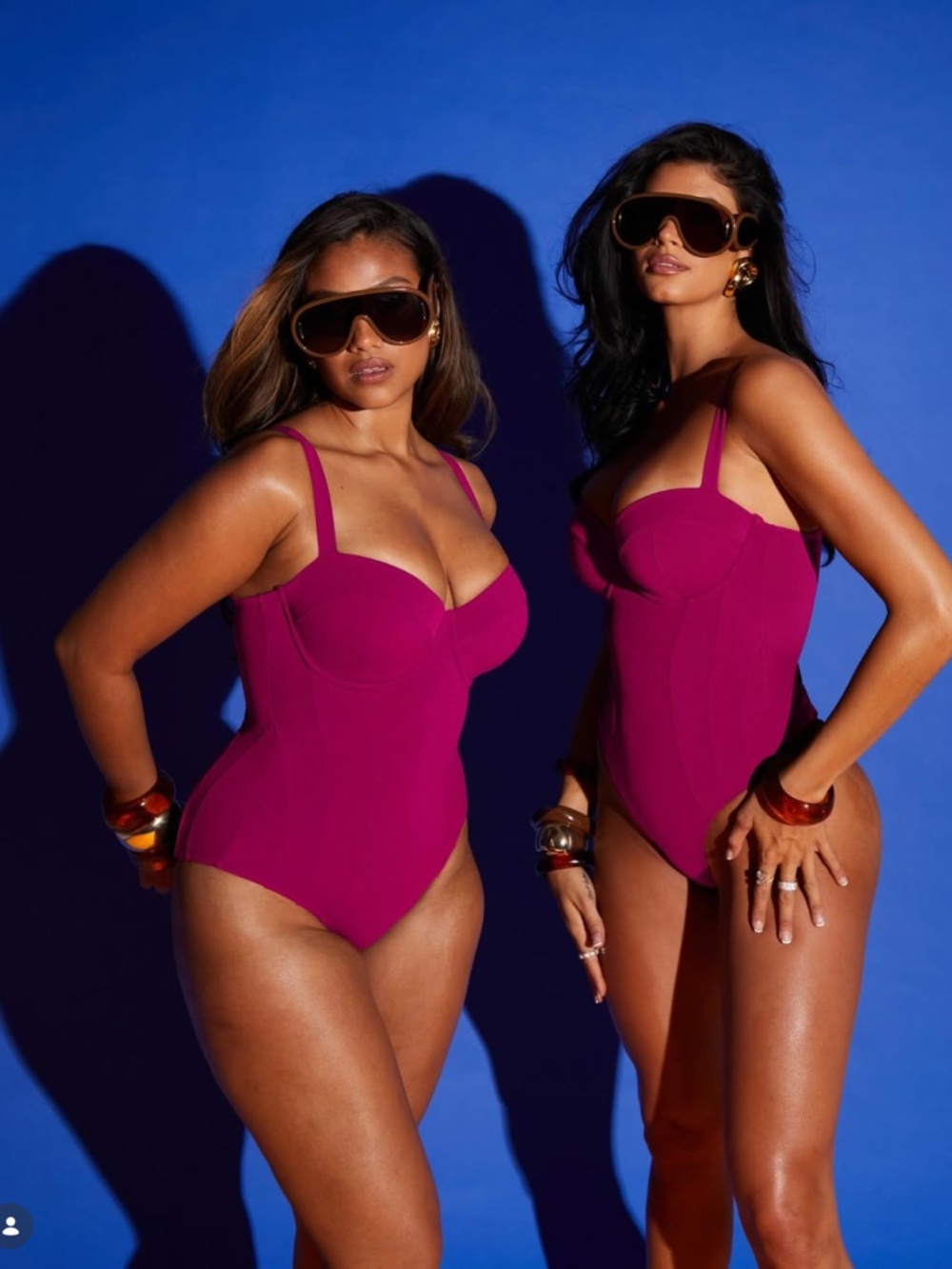 TA3 Lushy One Piece Swimsuit Berry L H/I Regular Long NWT